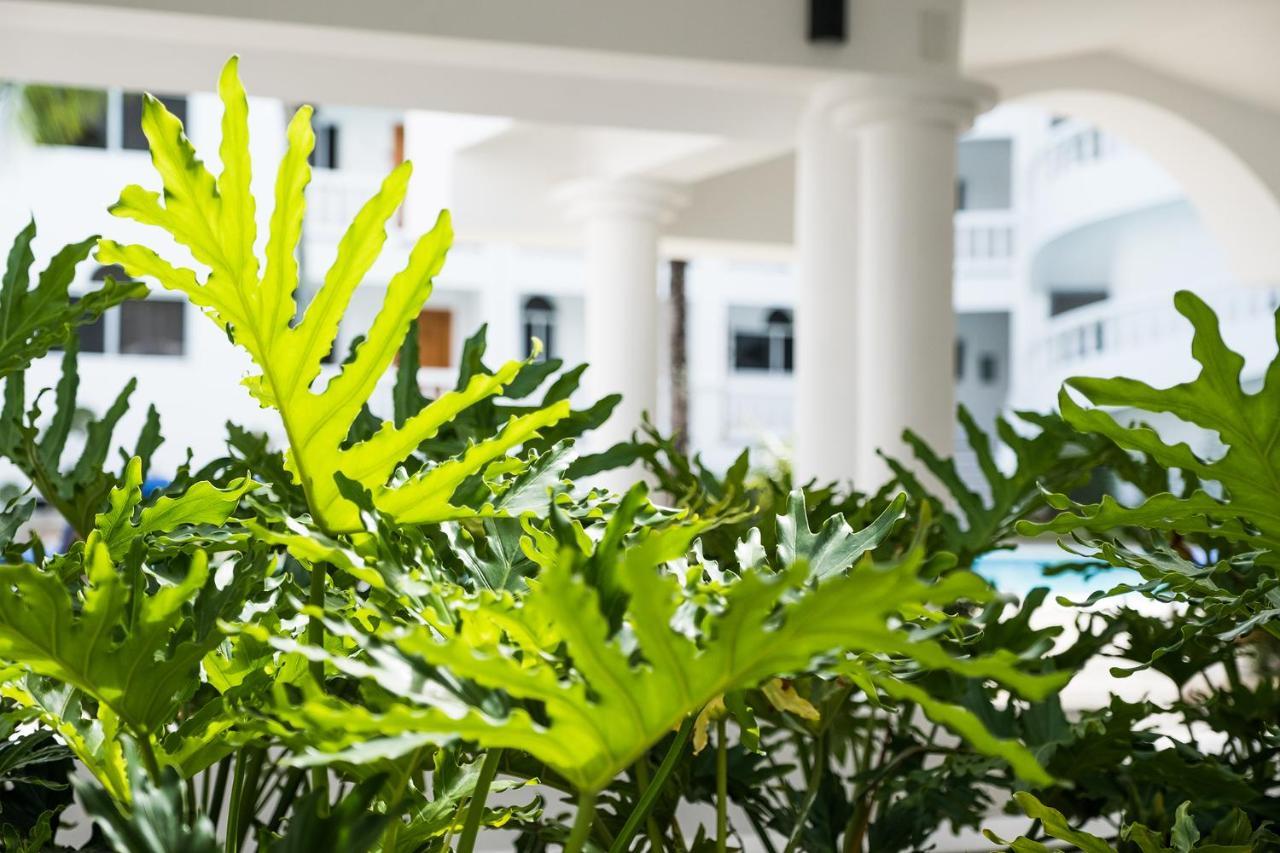 Ocean Palms Residences Cabarete Exterior foto